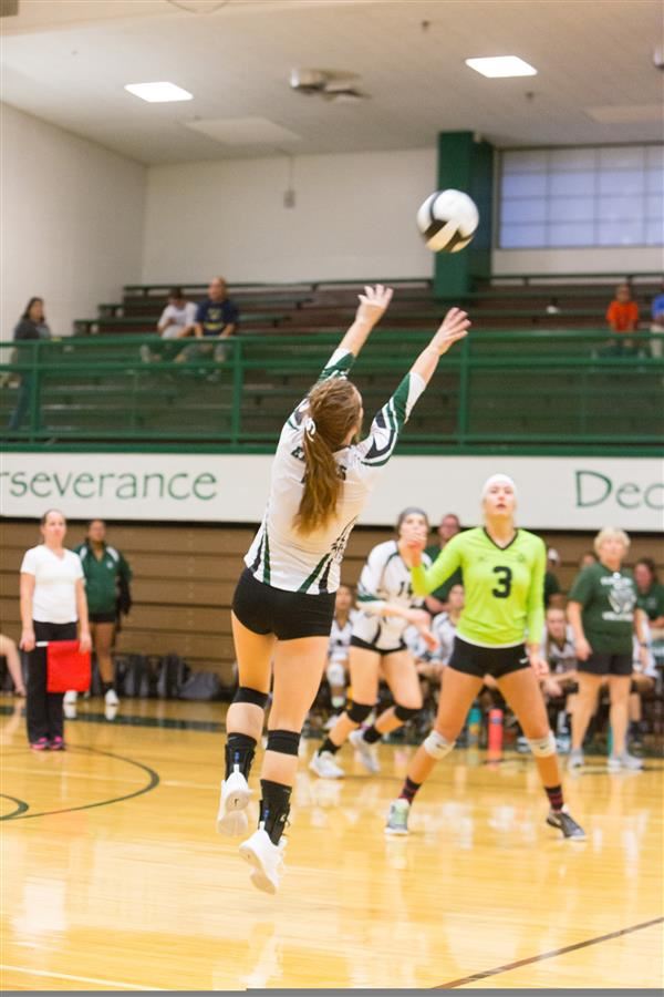 Volleyball