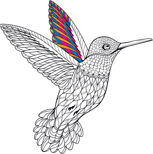 Hummingbird 