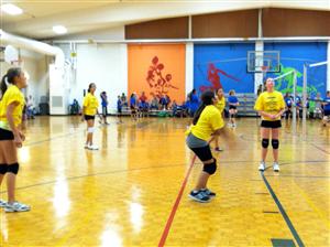 Volleyball 